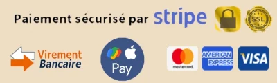 logo paiements stripe 5